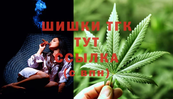 стафф Магадан
