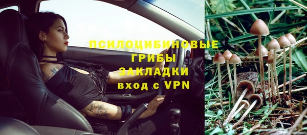 круглые Магас